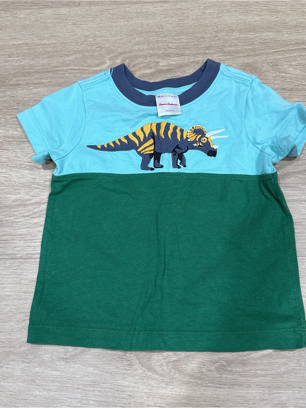 Hanna Andersson Blue & Green Dinosaur Graphic Tee